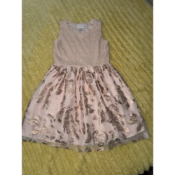 Girls Pink Gold Butterfly Place Dress Sleevless Fit & Flare 10/12 - Picture 1 of 5